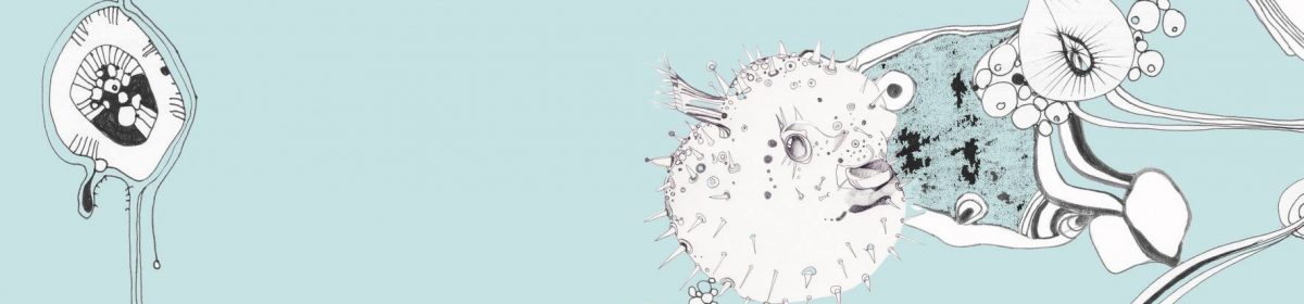 SheldonSelectedKunst